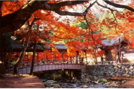 広島県でおすすめの観光名所を厳選