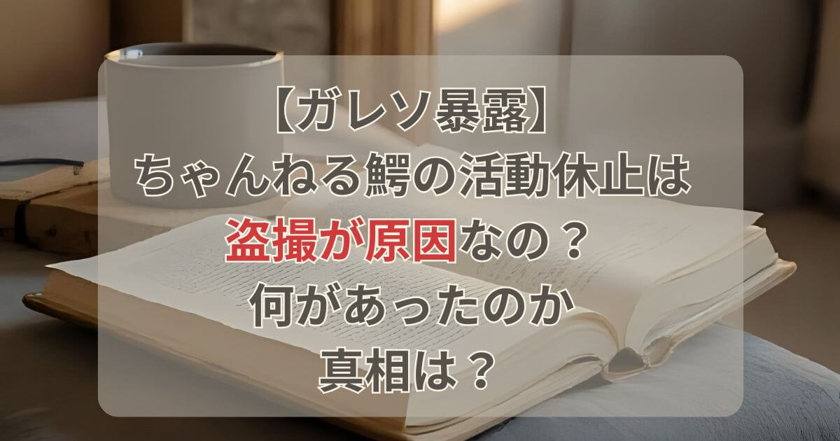 【ガレソ暴露】ちゃんねる鰐の活動休止は盗撮が原因？何があったか真相は？