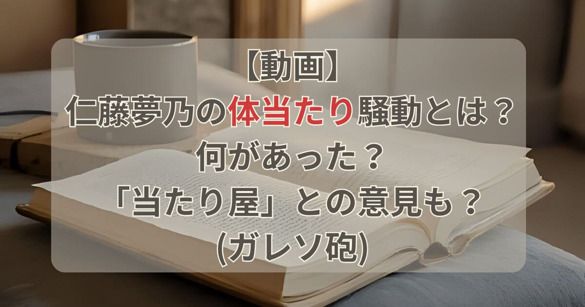 【動画】仁藤夢乃の体当たり騒動何があった？当たり屋との意見も？(ガレソ砲)